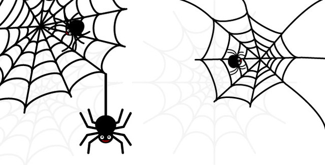 夜の蜘蛛は縁起が良い悪いどっち 夜に現れる蜘蛛の縁起について解説します 縁起物に関わる情報サイト 縁起物百科事典